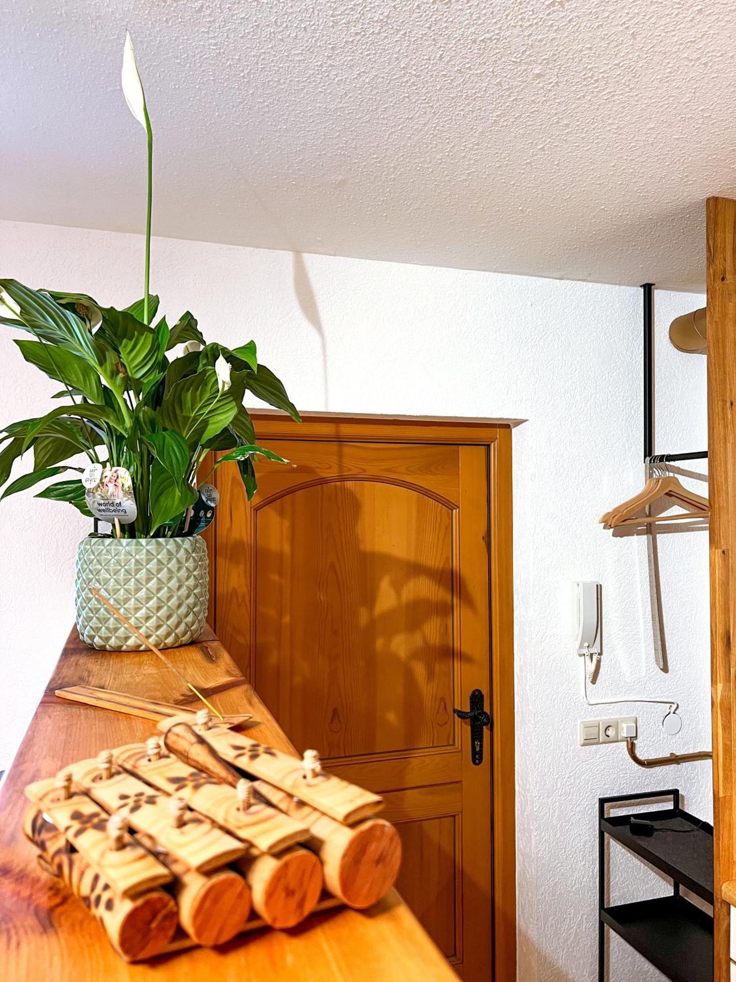 Cozy Vibes Apartment Michelbach an Der Bilz Exterior photo